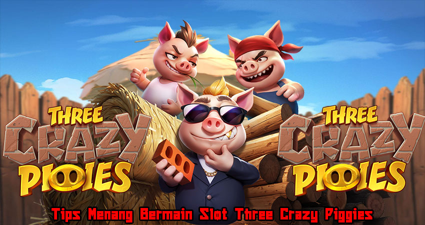 Tips Menang Bermain Slot Three Crazy Piggies